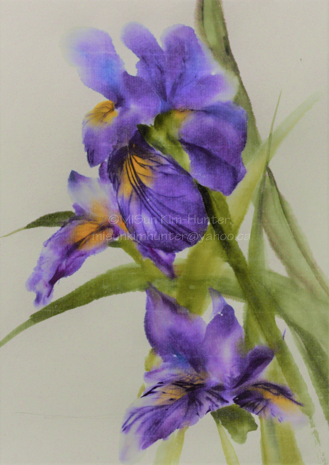 9x11 iris 2 sample